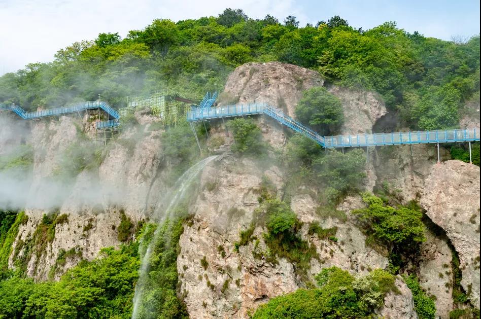蕪湖人都在搶票，端午去森林體驗(yàn)王國(guó)森呼吸！