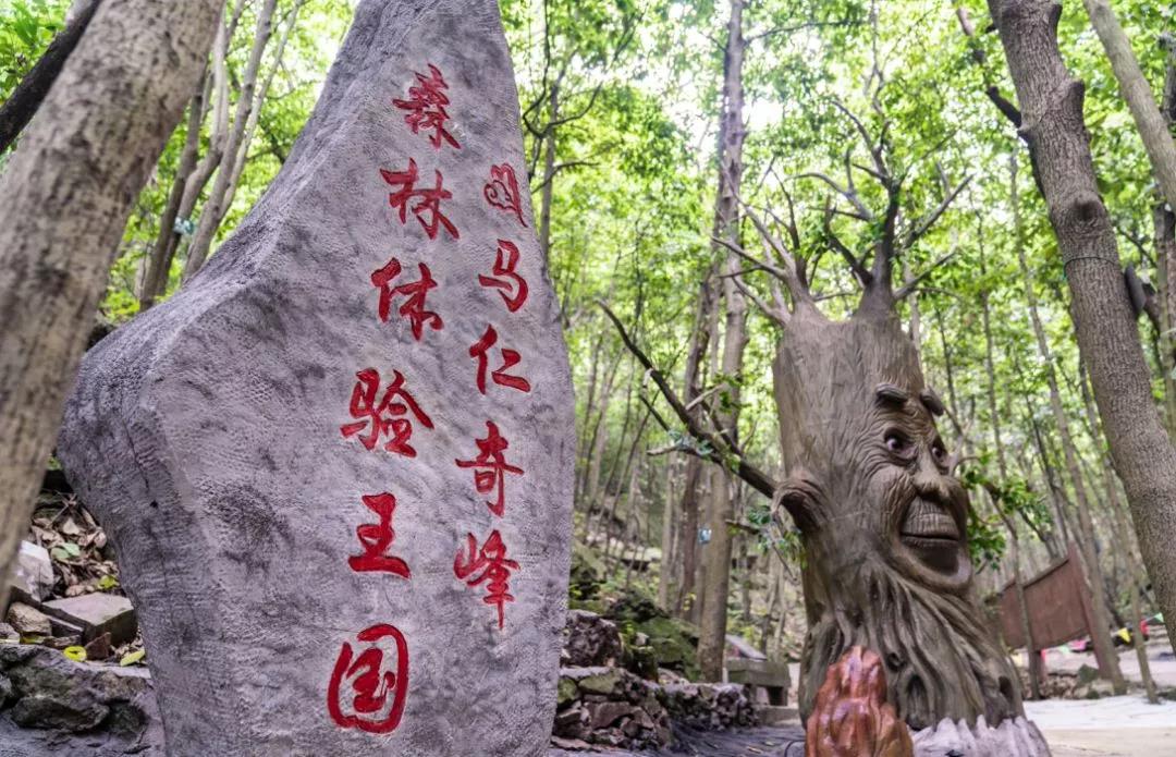 馬仁奇峰、大浦雙雙入選首批“安徽省職工療休養(yǎng)基地”！