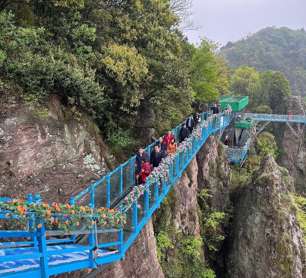 中國旅游研究院院長戴斌一行調研馬仁奇峰景區(qū)